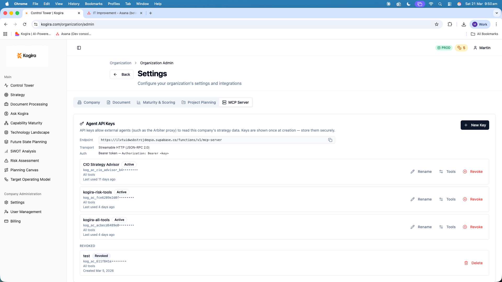 MCP Server settings showing agent API keys and endpoint configuration