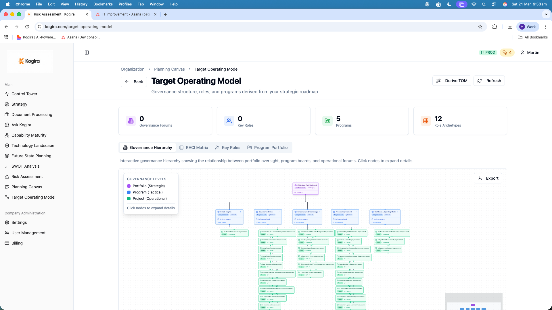 Target Operating Model showing governance hierarchy with 5 programs and 12 role archetypes